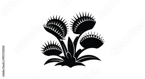 A striking black silhouette depicts three venus flytraps with detailed leaves and menacing traps showcasing botanical form silhouette high quality professional