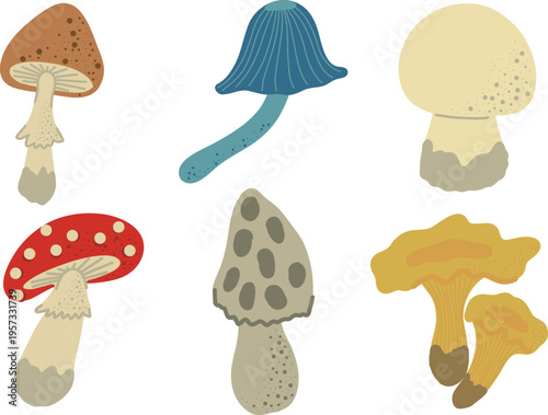 Mushroom clipart set isolated forest fungi collection vector illustration