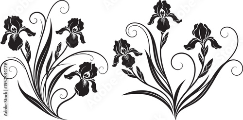 Ornate black and white graphic illustrations of iris flowers with swirling decorative elements. Elegant botanical design for artistic or cultural use on a white background