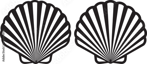 Two striking black and white illustrations of a scallop seashell, featuring radiating lines for a graphic and stylized look. Nautical or decorative element on a white background