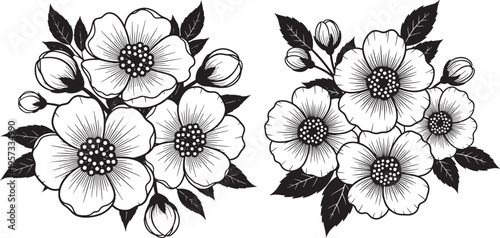 Hand-drawn black and white floral illustration with blooming flowers and buds, artistic botanical elements for design, isolated on white background