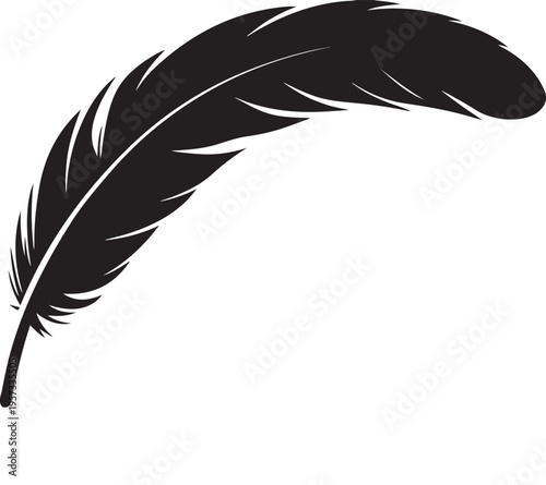 Single black feather detail isolated on transparent background elegant design element