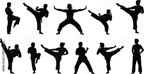 Set of martial arts silhouettes performing high kicks and fighting stances isolated on white background for combat sport and training design use