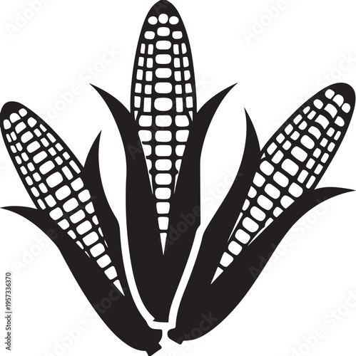Three corn cobs in husks silhouette illustration showing farm fresh maize organic produce