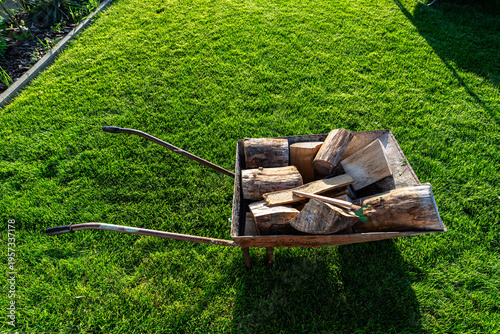 Wheelbarrow full of firewood logs on green lawn