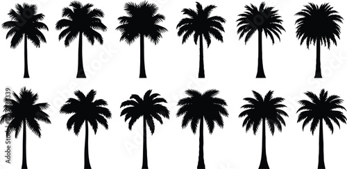 Collection of black silhouette coconut trees on white background