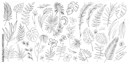 A detailed collection of various botanical illustrations featuring diverse plant and floral life