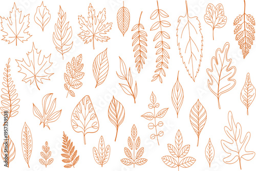 Autumn leaf line art collection, hand drawn orange foliage vectors for fall seasonal nature design