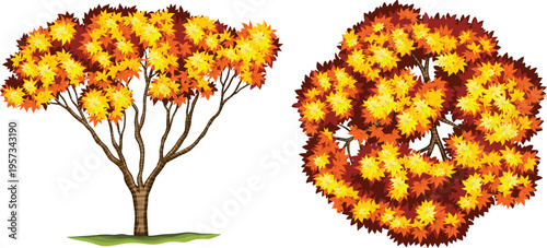 Minimalist fall season trees for natural scenery and garden backgrounds vector