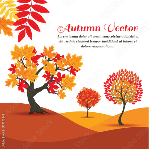 Vector deciduous trees set for seasonal autumn nature landscape design vector