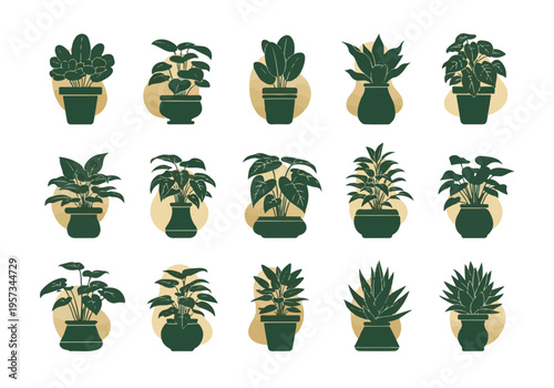 Minimalist flat design vector illustrations of potted house plants set