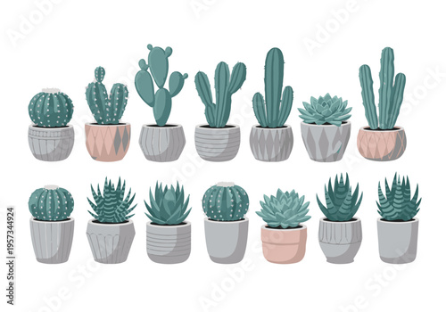 Decorative potted cacti and succulents set on white background