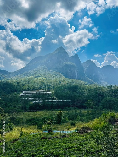Schilderij op canvas Majestic mountain peak towering over a lush green valley and tea plantations in Sri Lanka