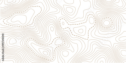 The stylized height of the topographic map in contour, lines. The concept of a conditional geography scheme and the terrain path. Design materials. Print image, Abstract bacground. Vector Illustration