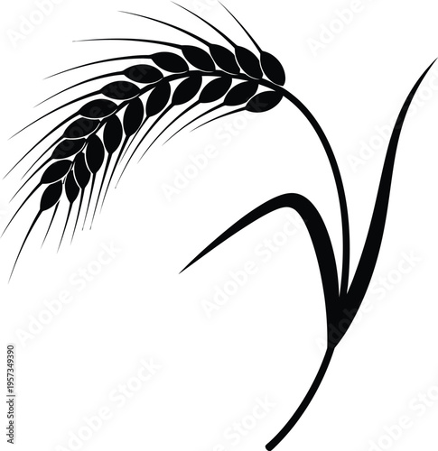 A black and white illustration of a wheat stalk with a curved stem and grain head on a plain white background
