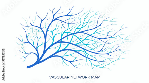Detailed blue vascular network map showing intricate branching veins and arteries on plain white background, concept for medical education, cardiology research and healthcare infographics