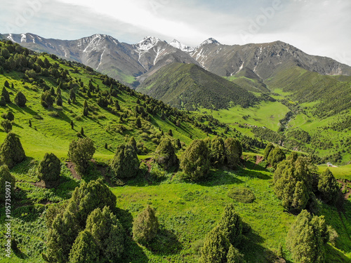 Lush Valley Framed By Snowcapped Ridges, Layered Slopes Leading Eye Toward Distant Peaks With Mixed Shrubs