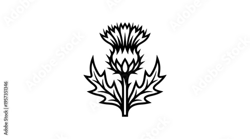 Black and White Graphic of a Scottish Thistle