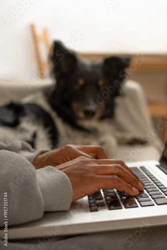 Close-up of person hands typing on laptop keyboard with blurred dog in background at home