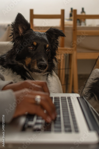close up dog face in sharp focus while woman types on keyboard with shallow depth of field at home