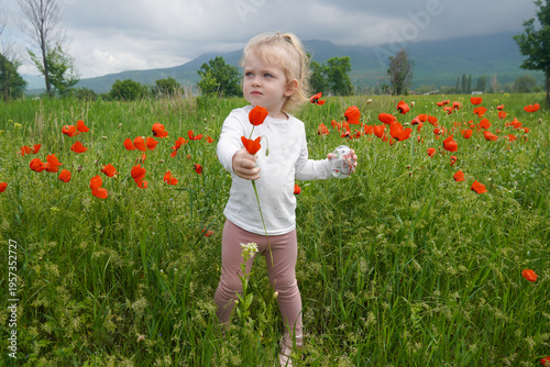 White Little Girl Standing Among Poppies In Open Meadow, Holding Single Bloom And Surveying Valley, Joyful