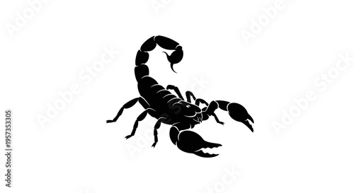 Black Scorpion Silhouette on White Background, Danger Symbol, Arachnid Icon