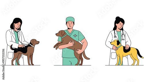 Veterinarian doctors examining dogs in a medical setting illustration