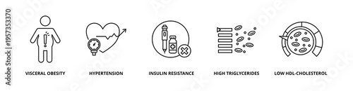 Metabolic Syndrome icon set with visceral obesity, hypertension, insulin resistance, high triglycerides, and low hdl-cholesterol