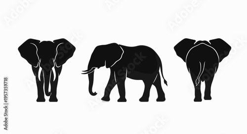 Professional collection of black elephant silhouettes in front, side, and back views isolated on white background for wildlife and conservation concepts.