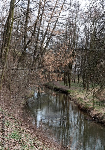 landscape of park at early spring