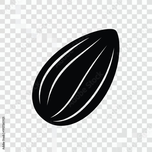 Black and white illustration of a single pumpkin seed with fine details