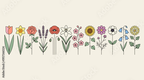 Colorful row of hand-drawn flowers in pastel tones on a beige background; a botanical illustration for gardening, spring decor, wedding decor, and floral design projects.