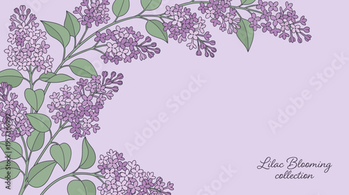 Decorative botanical illustration of lilac branches with purple blooms and green leaves on a soft lavender background
