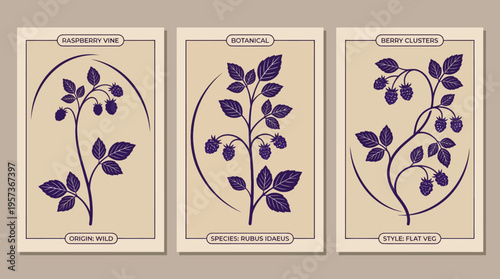 Three vintage botanical cards featuring purple flowering branches in beige archival frames – botanical illustration set