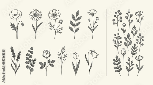 Botanical line art collection featuring assorted wildflowers and stems in graceful monochrome illustrations