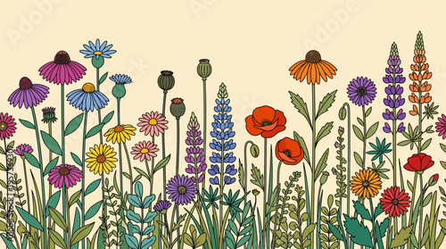 Watercolor meadow of colorful wildflowers in a sunny garden scene, a detailed botanical illustration featuring purple, yellow, orange, and pink blooms