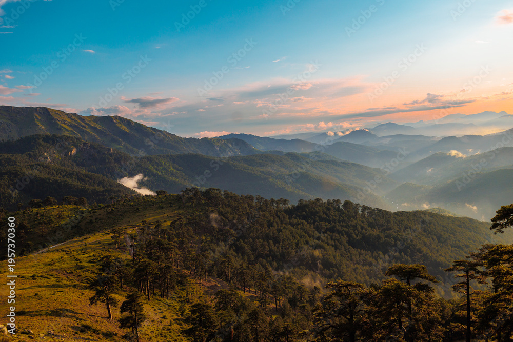 Obraz premium Beautiful forest and mountains at sunset, picturesque nature, travel to Turkey
