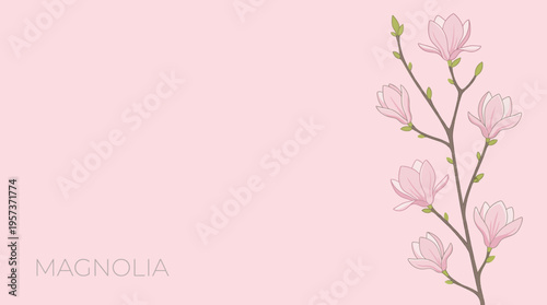 Soft pink background with a delicate magnolia branch and pale pink blossoms, minimalist floral design