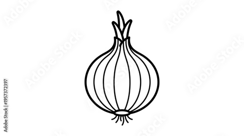 Simple Black and White Onion Drawing