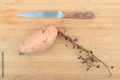 Top view of the kitchen knife and one raw sweet potato batata .