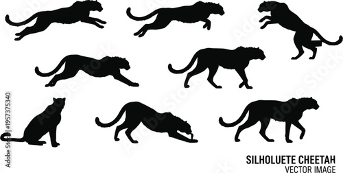 Cheetah, silhouettes, animal, running, jumping, poses, wildlife, predator, speed, motion, safari, nature, feline, black, isolated, vector, illustration, set, dynamic, action