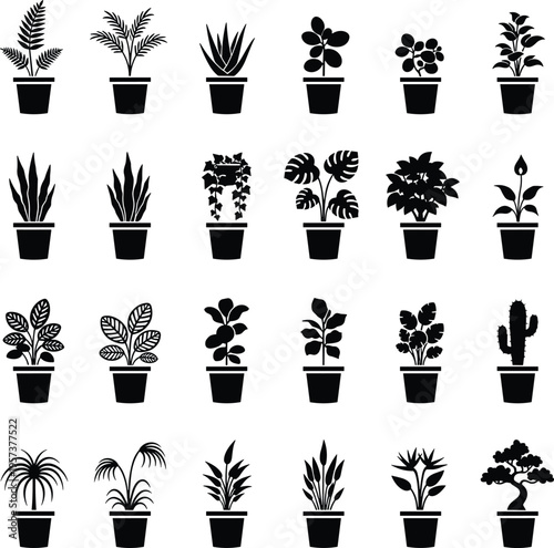 Houseplants, silhouettes, potted, plants, collection, vector, set, black, indoor, botanical, foliage, design, illustration, isolated, decorative, greenery, home, garden, icons, nature