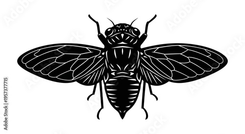 Detailed Black Silhouette of a Cicada Insect with Wings, isolated white background