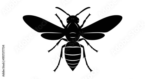 Black Silhouette of a Wasp or Bee Insect, isolated white background