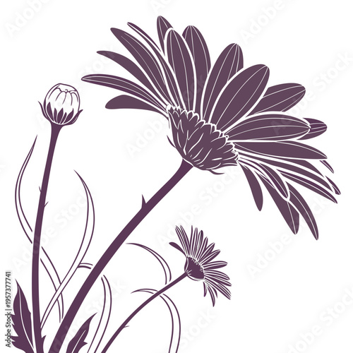 Fotografie sweet memories gerbera daisy silhouette vector