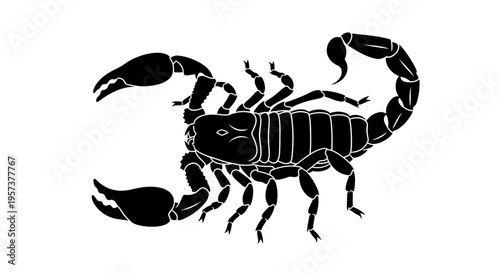 Detailed Black Silhouette of a Scorpion, isolated white background