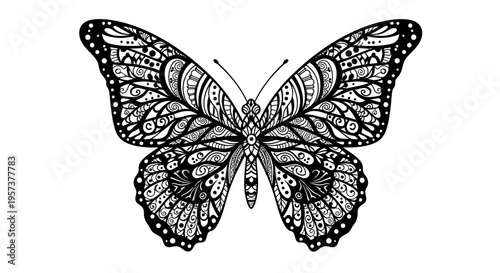 Intricate Detailed Butterfly with Mandala Pattern Wings, isolated white background