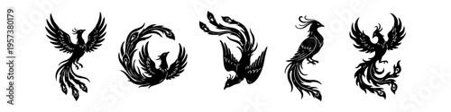 Collection of five black phoenix bird silhouettes in different poses. Stylized mythical firebird vector illustrations for logos, tattoos, and graphic design elements on white background.
