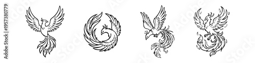 Set of four black and white phoenix line art illustrations. Hand-drawn mythical fire bird icons symbolizing rebirth, power, and transformation. Vector sketches for tattoos, logos, and decals.