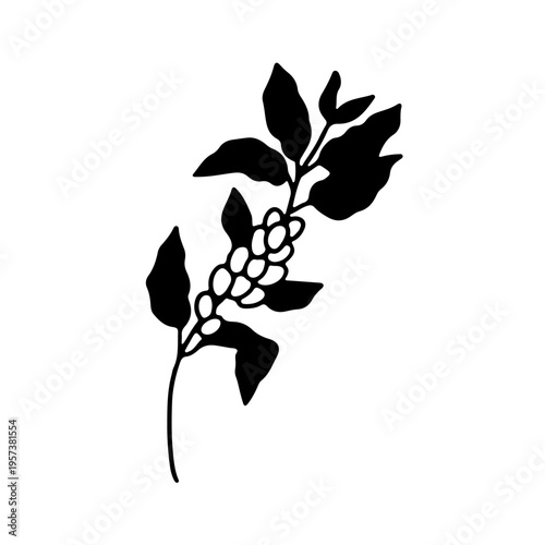 Hand drawn coffee plant branch with beans doodle icon silhouette vector illustration